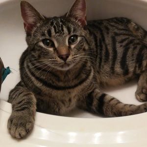 Meet your Posher, Carly